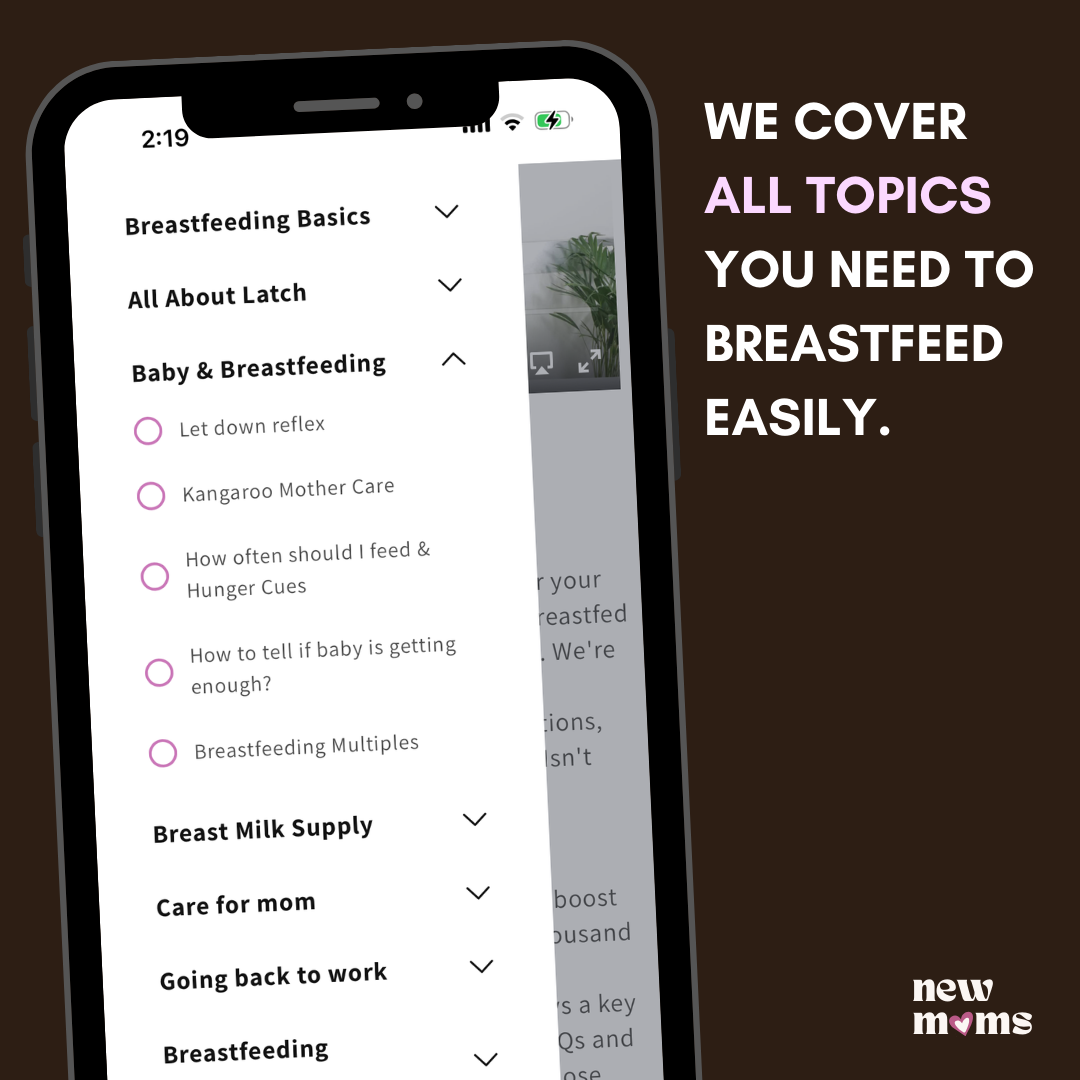 Breastfeeding Course - From Beginner to Master